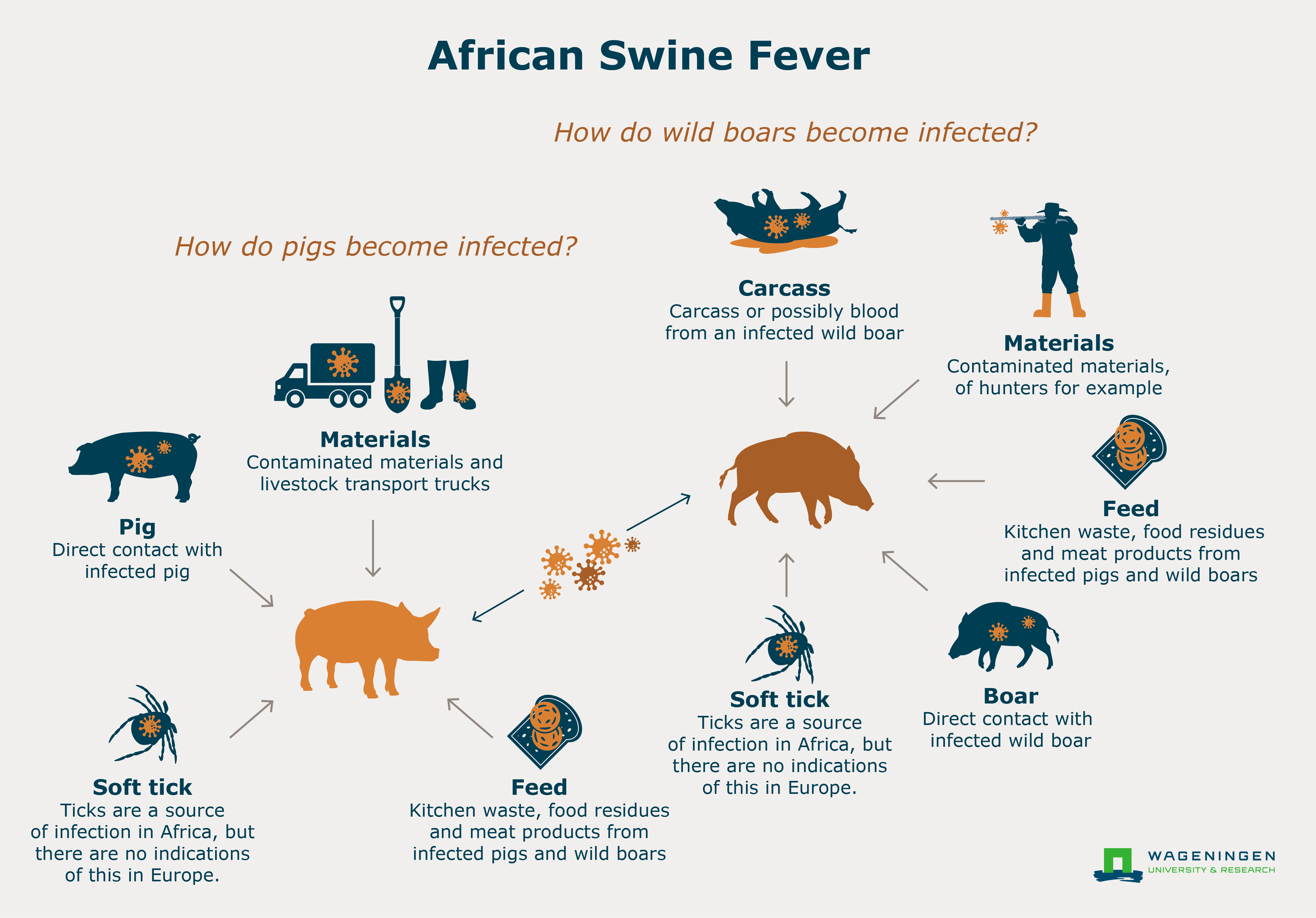 African Swine Fever (ASF) in Europe WUR